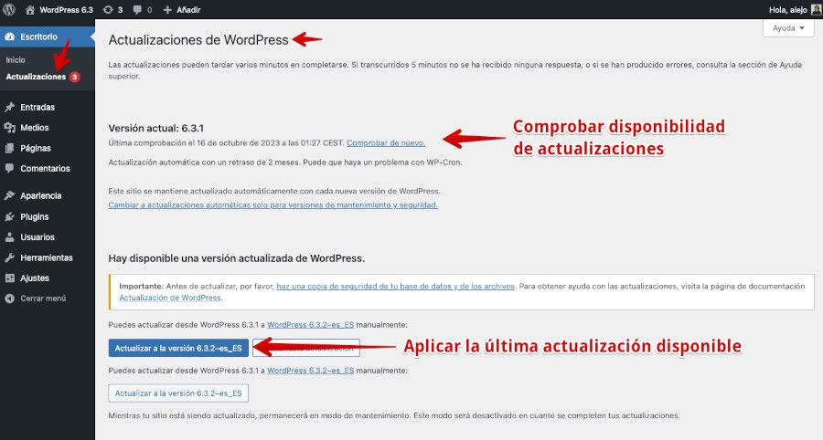 Actualización de WordPress desde el panel de control