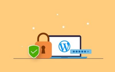 Seguridad WordPress. Cómo proteger tu sitio web en 20 pasos