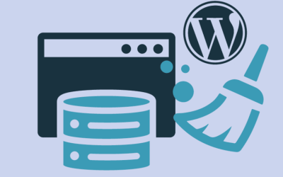 Cómo borrar la caché de WordPress con y sin  plugins